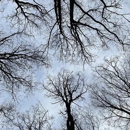 Tente Avec Jacuzzi Vue 1 אוהל מפואר *