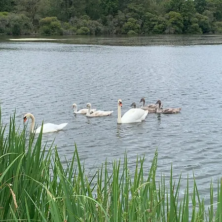 Tente Avec Jacuzzi Vue 1 *